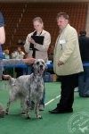 ВЫСТАВКИ - Россия 2009